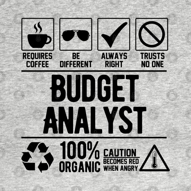 Budget Analyst Job (black) by Graficof